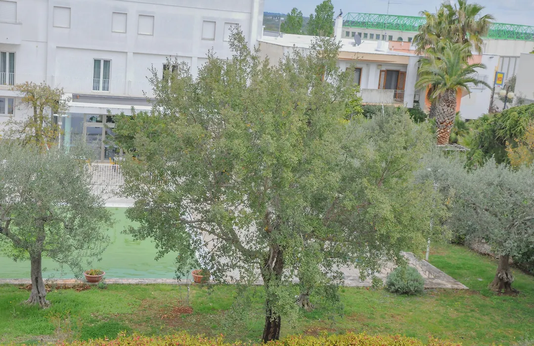 Grand Hotel Olimpo-1
